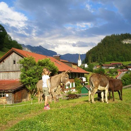 Haus Willi Oberstdorf Exterior foto