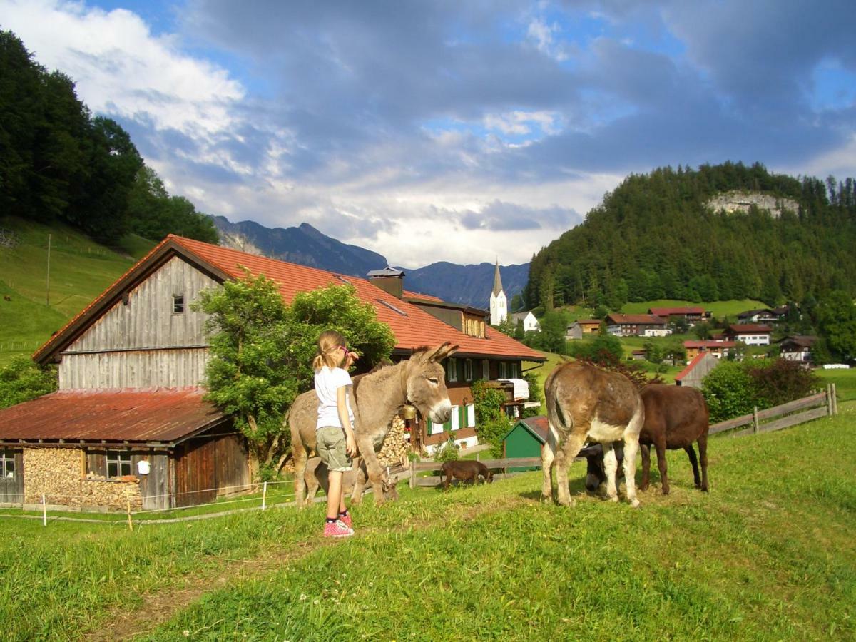 Haus Willi Oberstdorf Exterior foto